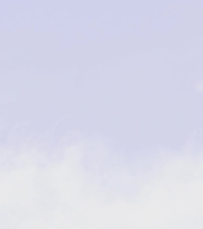 Aire® Adult Pull-Up Pants Size L